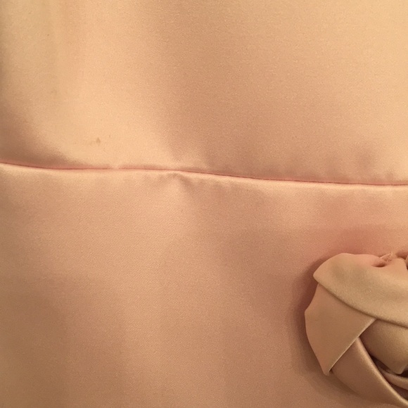 Baby Pink Evening Dress with Pockets! - Picture 6 of 6